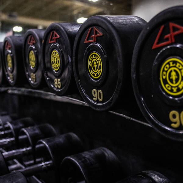 Gold's Gym Lorton Free Weights